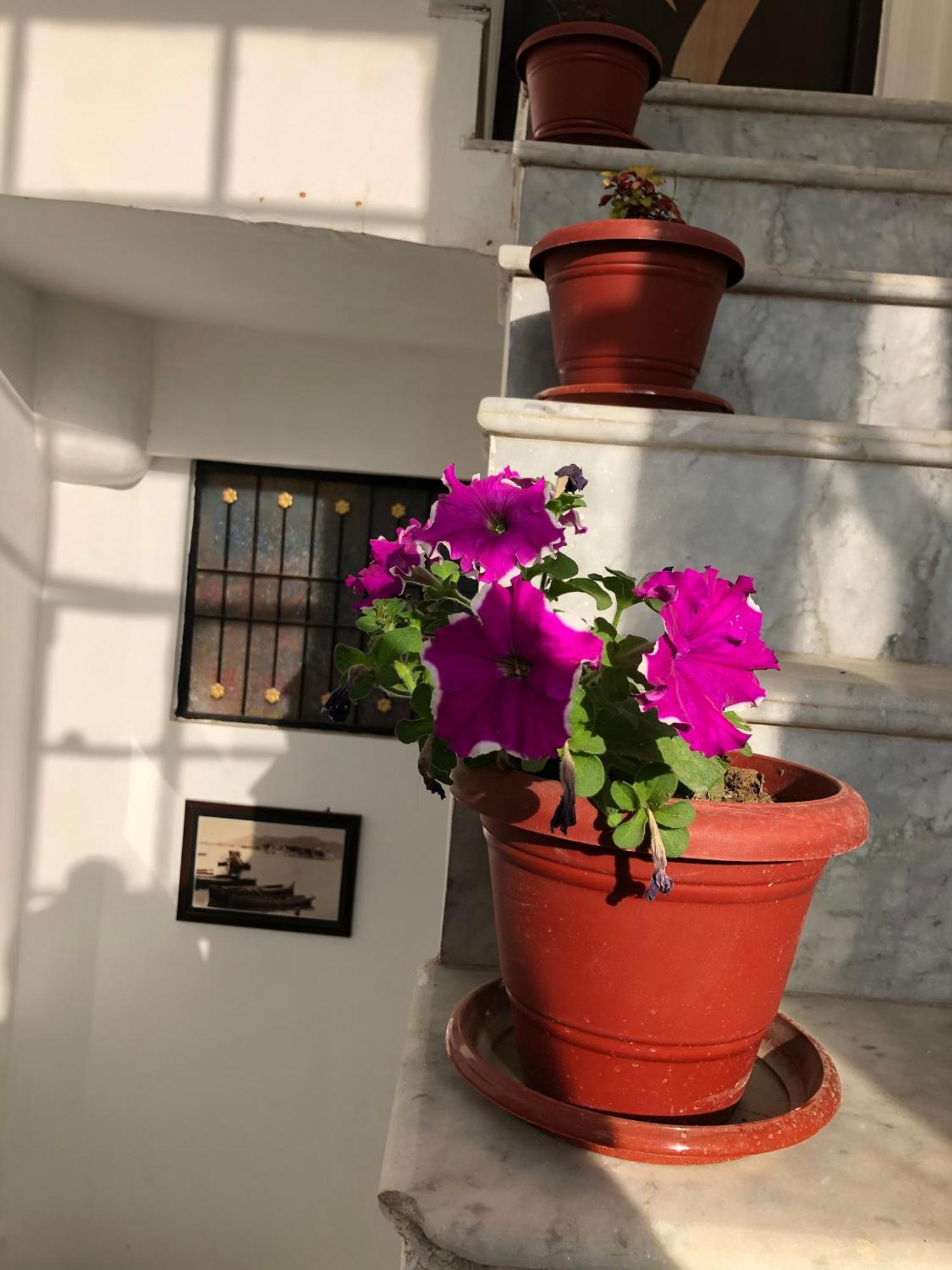 Hotel Nirvana Lakeside Udaipur Exterior foto